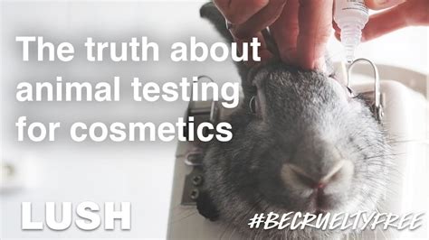 chanel lipstick animal testing|is Chanel animal friendly.